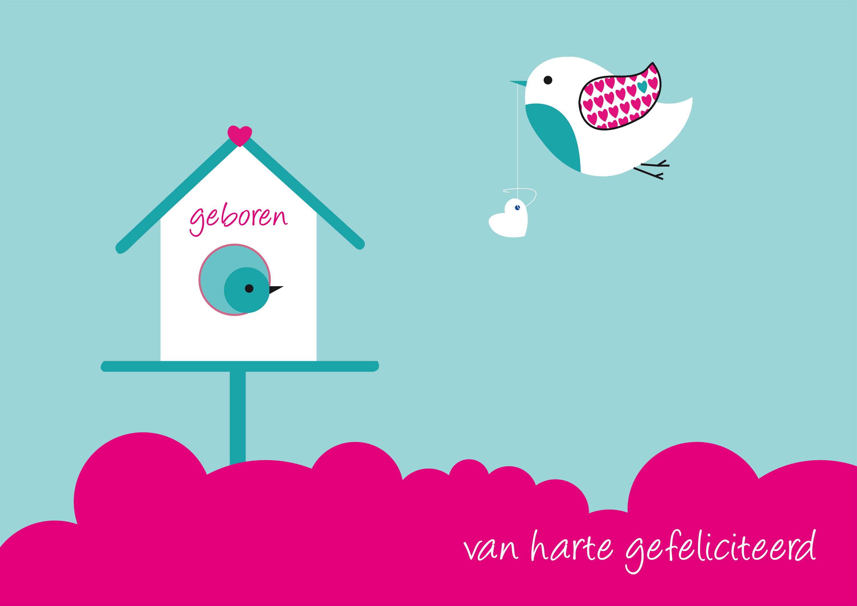 babyvogel