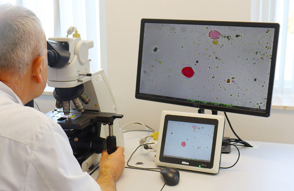 Hooikoortsspecialisten